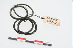 Foto von Bronzering (NHMW-PRAE-024667)